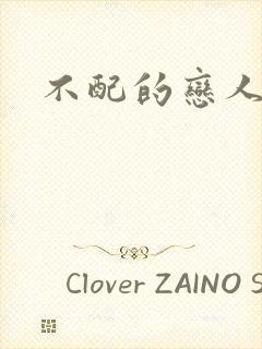 不配的恋人封面