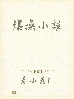 爆操小说