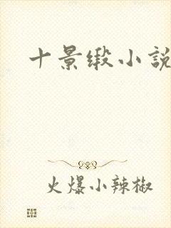 十景缎小说