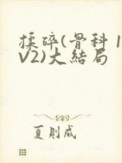 揉碎(骨科 1V2)大结局