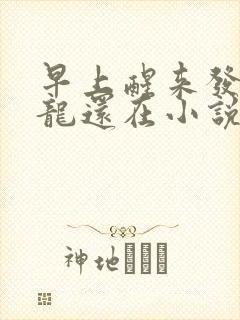 早上醒来发现巨龙还在小说封面