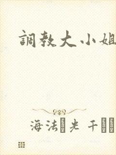 调教大小姐封面