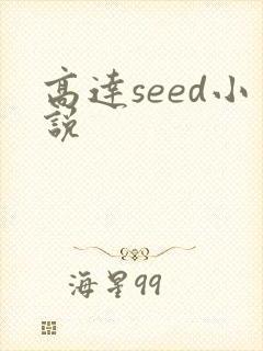 高达seed小说