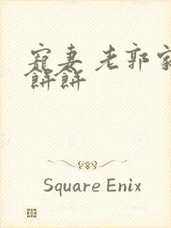 宠妻 老郭家的饼饼