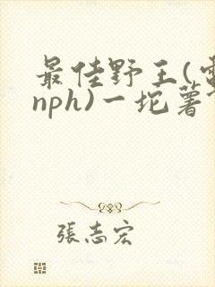 最佳野王(电竞nph)一坨薯饼封面