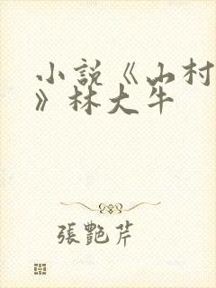 小说《山村情事》林大牛