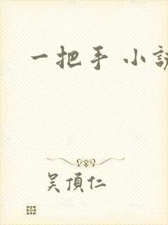 一把手 小说