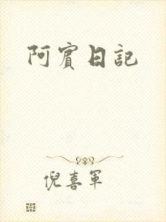 阿宾日记封面