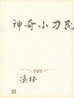 神奇小刁民