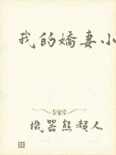 我的娇妻小说