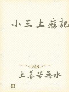 小三上瘾记