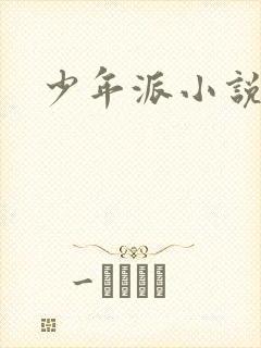 少年派小说