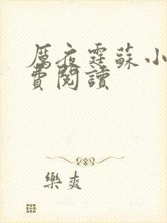 厉夜霆苏小汐免费阅读封面