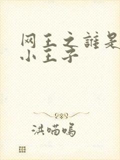 网王之谁是我的小王子