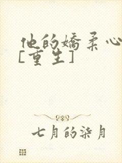 他的娇柔心尖宠[重生]