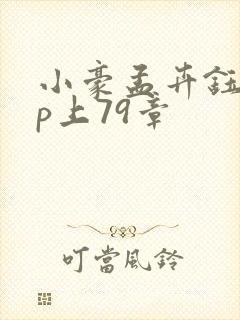 小豪孟卉钰慧三p上79章