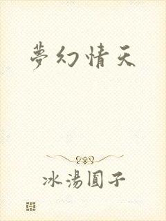 梦幻情天封面