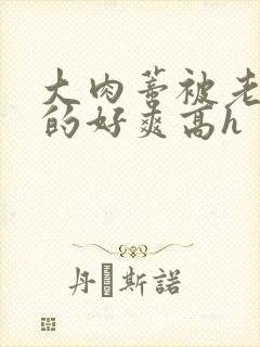 大肉蒂被老头嘬的好爽高h