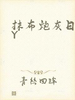 抹布炮灰日记BY封面