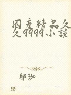 国产精品久久久久9999小说