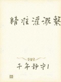 精准灌溉系统封面