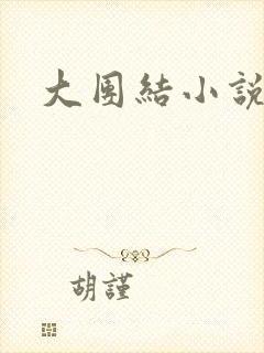 大团结小说全文封面