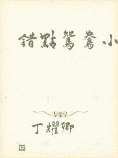 错点鸳鸯小说封面