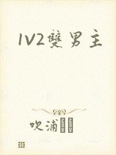 1V2双男主