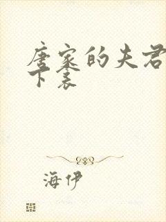 唐家的夫君们帘下衾