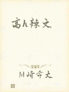 高h辣文