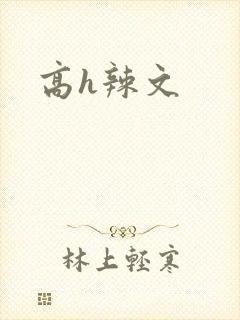 高h辣文