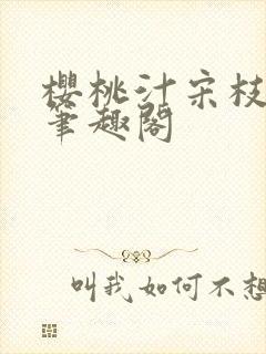 樱桃汁宋枝江野笔趣阁封面