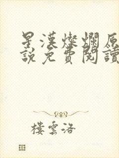 星汉灿烂原著小说免费阅读