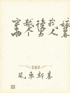 穿越后我嫁给了两个男人暮色酒歌