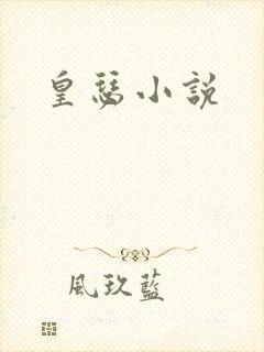 皇瑟小说