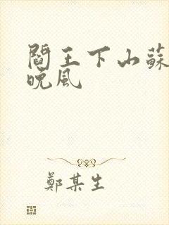 阎王下山苏文陆晚风封面