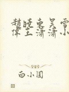 赵晓东吴雪晴郑伟王潇潇小说名字