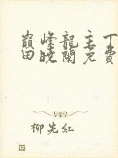 巅峰龙主丁长顺田晓兰免费阅读封面