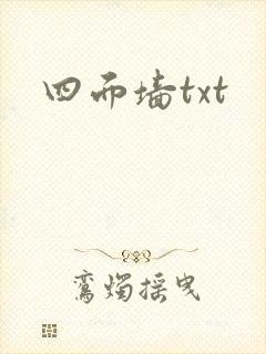 四面墙txt
