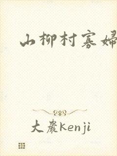 山柳村寡妇情史