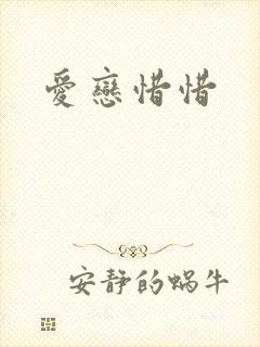 爱恋惜惜封面