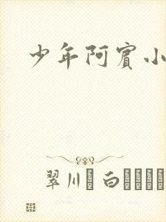 少年阿宾小说