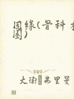 因缘(骨科 校园)