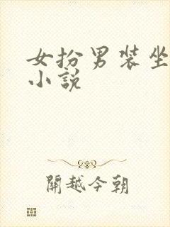 女扮男装坐江山小说