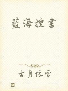 蓝海搜书