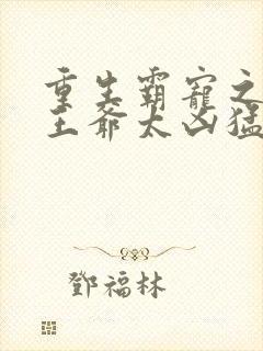 重生霸宠之摄政王爷太凶猛