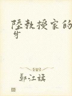 陆教授家的小月牙