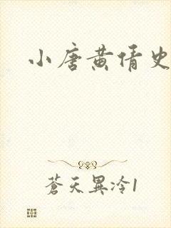 小唐黄倩史