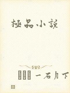极品小说