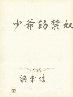 少爷的禁奴封面